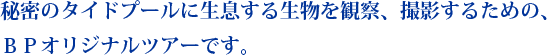 シークレットタイドプール