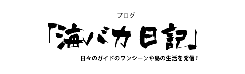 海バカ日記